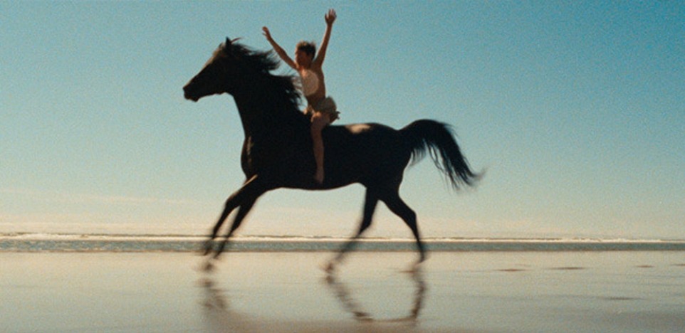 black stallion horse movie